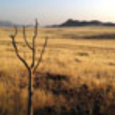 Kairali Family Restaurant